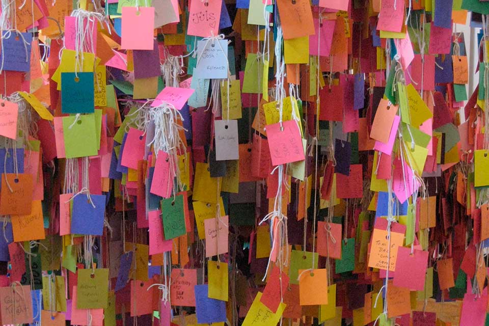 Close-up of Healing Tree full of Hope Cards