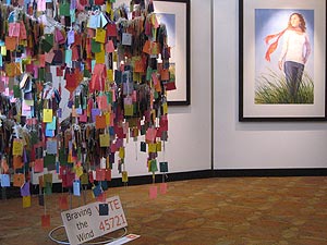 Braving the Wind and Healing Tree